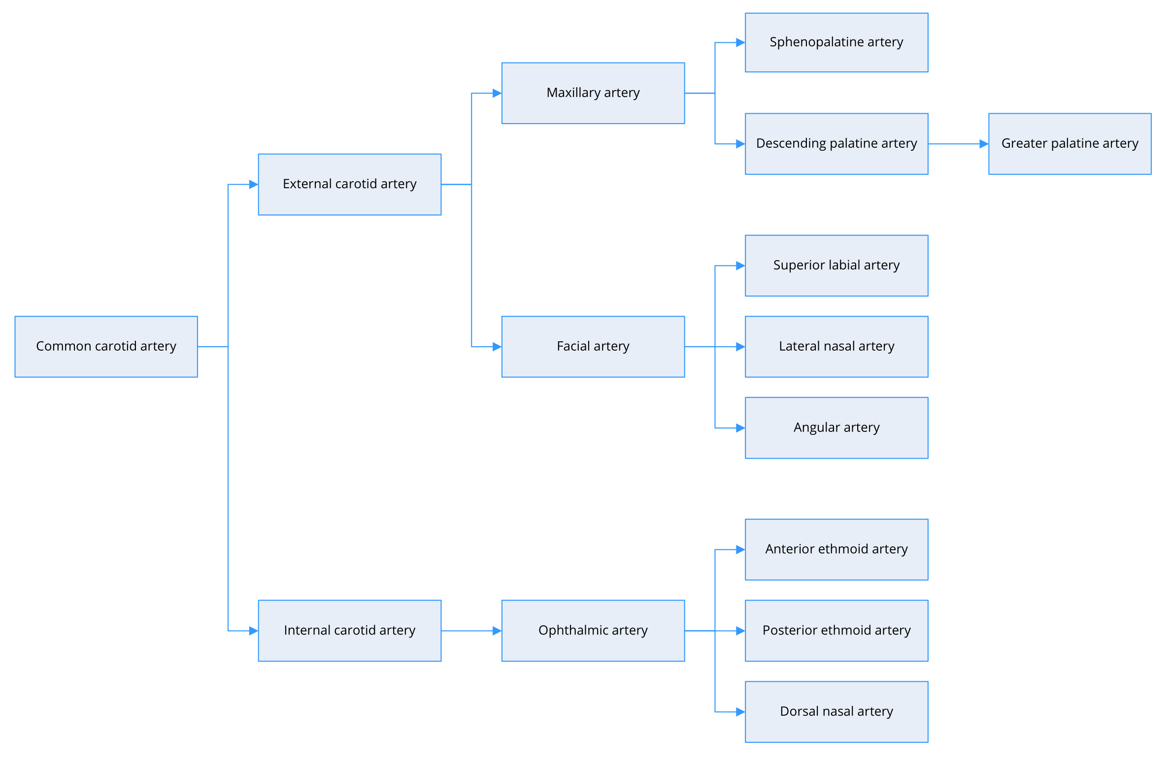 Figure 1.jpg